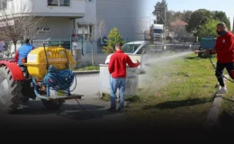 Menderes Belediyesi Yabancı Otlara Karşı Mücadele Başlattı.