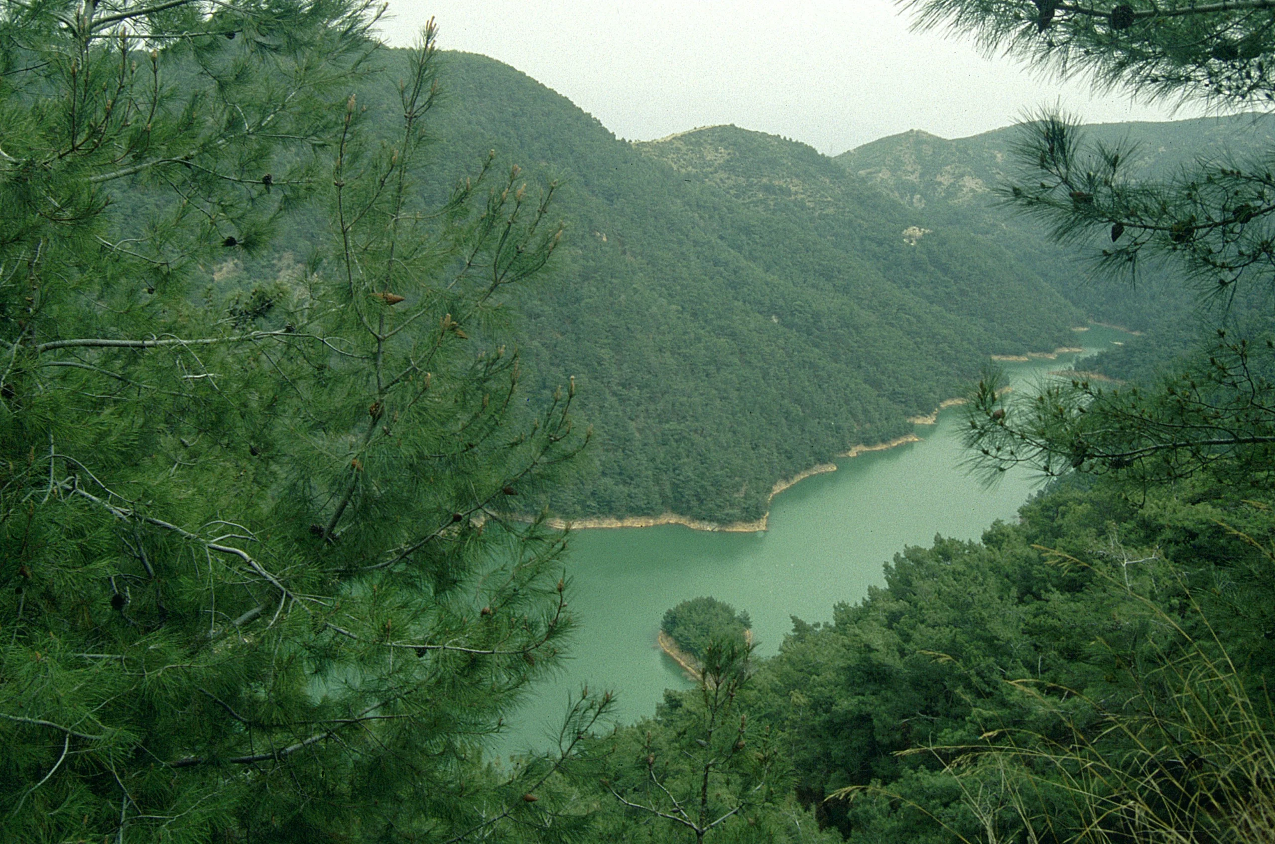 Balçova Barajı’nda Kapaklar Açıldı: Ilıca Deresi İçin Taşkın Uyarısı!