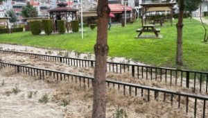 Aliağa’da sağanakla birlikte dere taştı, bir mahalle sular altında kaldı