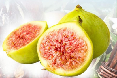 Balıkesir'de İncir Fidanı Dağıtımı Başlıyor: Hibeli Destekle Çiftçiler Coğrafi İşaretli Ar-Geye Katılıyor