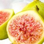 Balıkesir’de İncir Fidanı Dağıtımı Başlıyor: Hibeli Destekle Çiftçiler Coğrafi İşaretli Ar-Geye Katılıyor