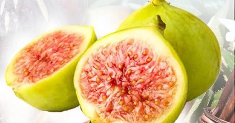 Balıkesir’de İncir Fidanı Dağıtımı Başlıyor: Hibeli Destekle Çiftçiler Coğrafi İşaretli Ar-Geye Katılıyor