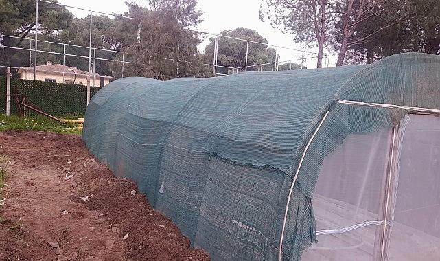 Geleceğin Şehrine Yolculuk: Bergama’nın Sürdürülebilir Serasında Fideler Yeşeriyor