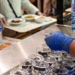 İzmir Kent Lokantaları Ramazan’da Dayanışmayı Yüzde Yüz Yükselten Ücretsiz İftarla Şehrin Omuzlarında