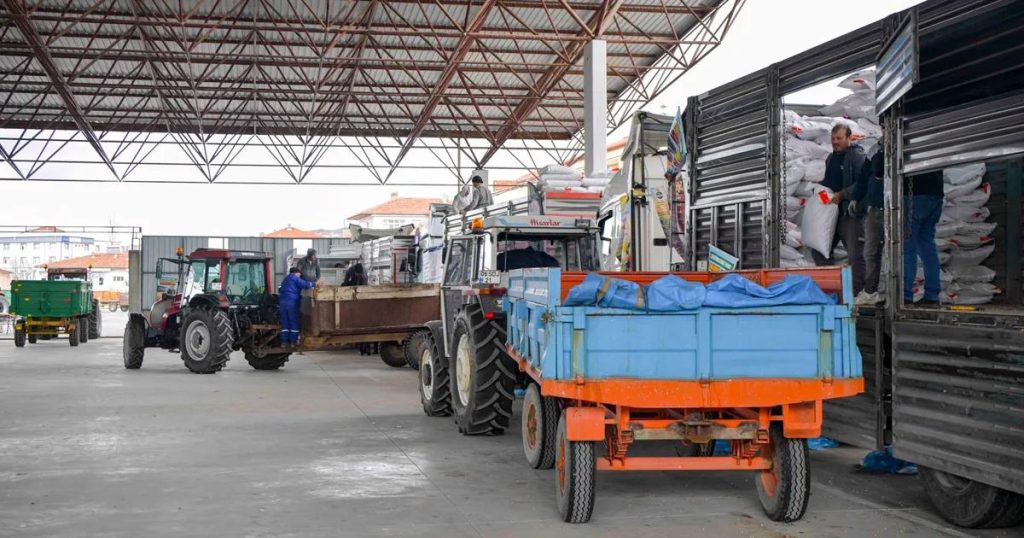 Nohut Desteğiyle Ankara’nın Çiftçisi Bir Adım Öne Geçiyor: Sertifikalı Tohumlar 4.780 Üreticiye Ulaştı, 100 Bine Yakın Dekar Ekilecek