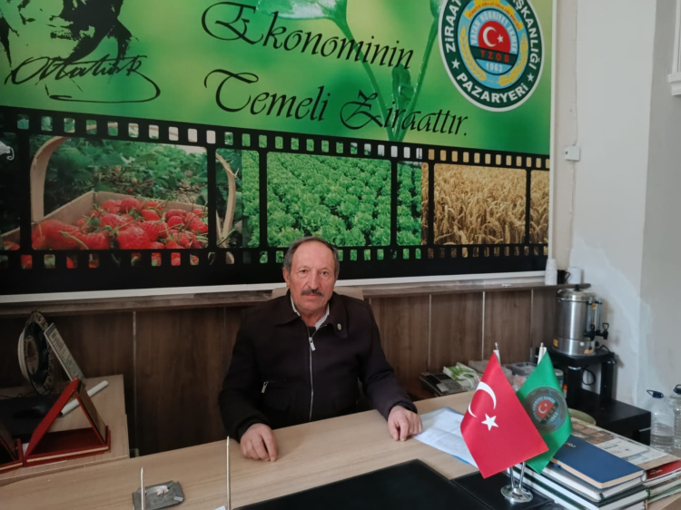 Pazaryeri’nin Yeni Tarımsal Dönemi: Burley Tütünü ve İpekböceğiyle Gelen Ek Gelir