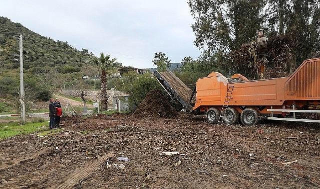 Sürdürülebilir Çevre Çekirdeği: Bahçe Atıkları Öğütülüyor ve Yakıt Olarak Değerlendirilerek Şehrin Enerjisi Oluyor