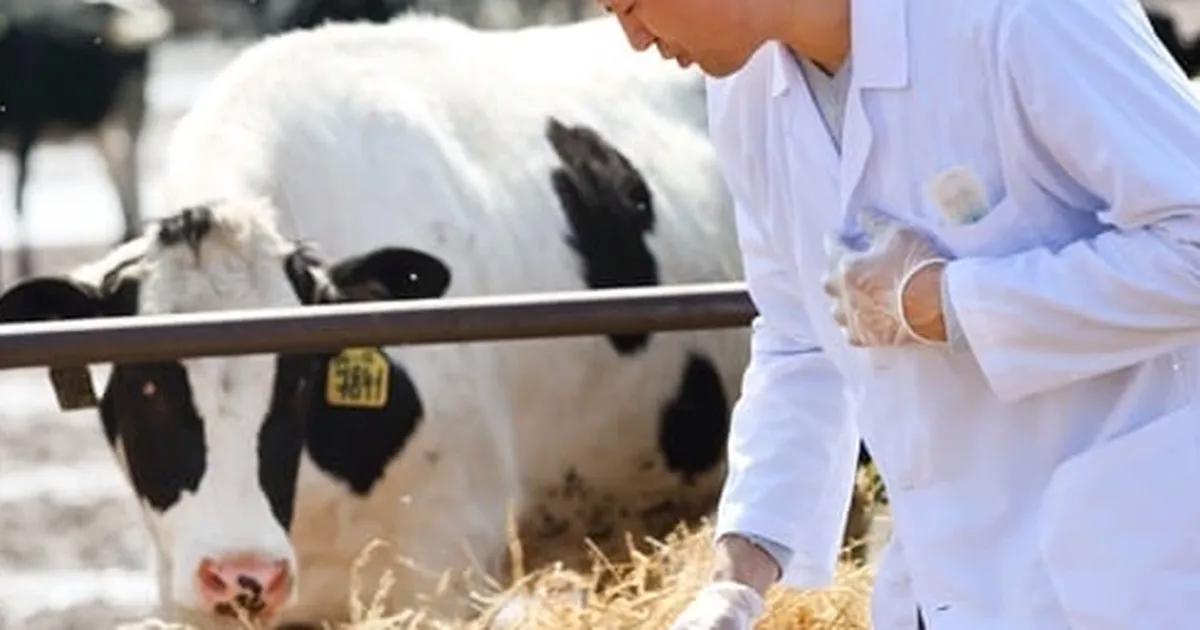 Tarımda maliyetler hız kesmiyor… Veteriner harcamaları zirvede