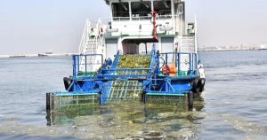 Temiz Toplum, Kirli Siyaset: İzmir Körfezi İçin Acil Çağrı