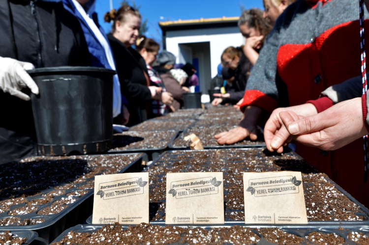 Toprağa Değer Katan Kadınlar: Bornova Kent Bostanlarıyla Yeni Bir Umut Dönemi