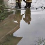 Umuda uzanan eller: Mahsur kalan köpeği itfaiye kurtardı