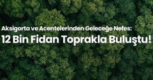 Aksigorta Acenteleri Hatıra Ormanı: Doğayı Korumak İçin Kesintisiz Adımlar ve Sürdürülebilir Bir Gelecek