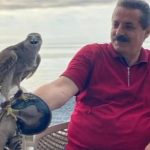 ATMACA GELENEĞİNİ YASAL KAZANIM: Artvin ve Rize’de Yaban Hayatıyla Kültürel Miras Dengesi