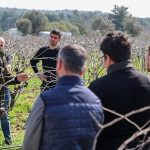 Buca’da Üzüm Bağlarıyla Geleceğin Ziraat Mühendisleri İçin Acil Bir Eğitim Atövesi: Gençler Budama Tekniği ve Çelik Alma Yöntemlerini Şimdi Öğreniyor