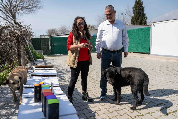 Can Dostlarımız İçin Dayanışma Rüzgârı: Binlerce Ürünle Barınağa Umut Dolu Destek
