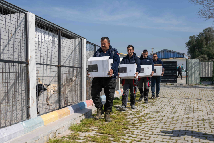 Can Dostlarımız İçin Dayanışma Rüzgârı: Binlerce Ürünle Barınağa Umut Dolu Destek