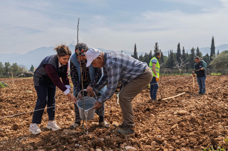 Ceviz Ağaçları İçin Yeniden Umut: Kahya Ailesinin Bahçesinde Diriliş