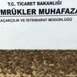 Gümrük Ejderlerinin Görünmez Engel: Tarihi Eser Kaçakçılığını Önleyen Büyük Operasyon