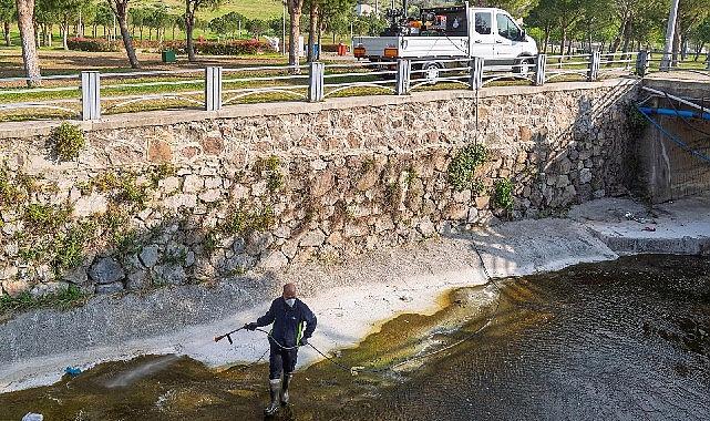 İzmir’de Bahar Mücadelesi: Sivrisineklerle Savaş Yerine Entegre Doğal Yönetim ve Halk Bilgilendirmesiyle Doğru Adımlar