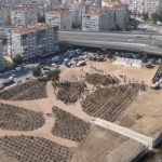 İzmir’de Yeşil Şehrin İnşası: İtfaiyeciler İçin Massive Mikro Orman Projesi ve Fidan Desteğiyle Doğaya Adanmış Gün