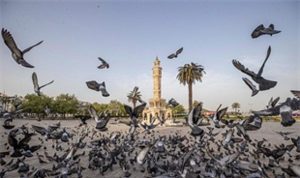 İzmir’in Geleceğini Şekillendiren Veriye Dayalı Kalkınma: İZPA’nın Misyon Odaklı İnovasyonu