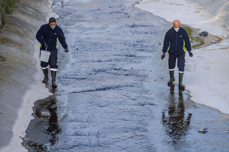 İzmir’in Kapsamlı Vektör Savaşçıları: Şehrin Her Köşesinde Yıl Boyu Süren Etkili Mücadeleyle Sağlık ve Çevre Güvencede