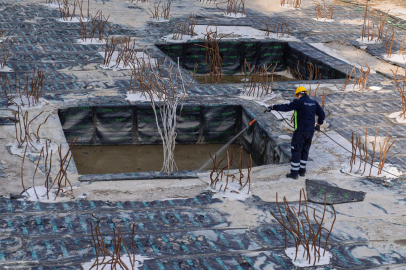 İzmir’in Kapsamlı Vektör Savaşçıları: Şehrin Her Köşesinde Yıl Boyu Süren Etkili Mücadeleyle Sağlık ve Çevre Güvencede