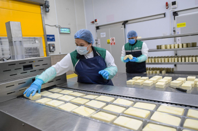 İzmir’in Kırsal Dönüşüm Hikayesi: İnsan ve Doğayla Uyum İçinde Yükselen Tarımsal Zenginlik