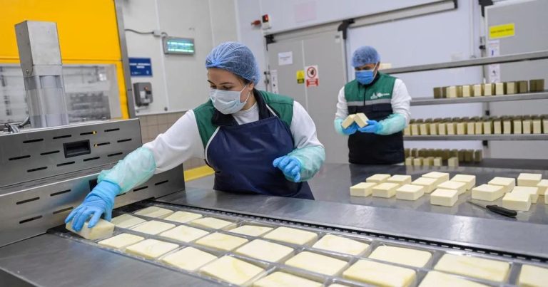 İzmir’in Kırsal Dönüşüm Hikayesi: İnsan ve Doğayla Uyum İçinde Yükselen Tarımsal Zenginlik