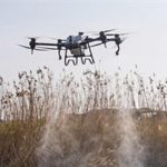 İzmir’in Nefes Kesen Mücadelesi: Dronlar ve Amfibik Araçlarla Vektörlere Karşı 12 Ay Süreli Savaş