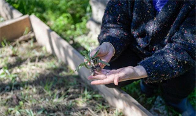 Kadın Girişimci Koç: Bahçeden Salep Üretimine, Türkiye’nin Girişimcilik Zirvesine Uzanan Başarı Hikâyesi
