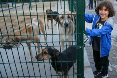 Karşıyaka Latife Hanım’da 98 Bin Metrekarelik Doğal Yaşam Alanı İçin Büyük İş Birliği