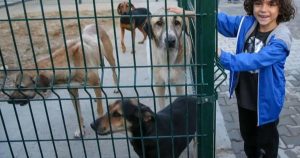 Karşıyaka Latife Hanım’da 98 Bin Metrekarelik Doğal Yaşam Alanı İçin Büyük İş Birliği