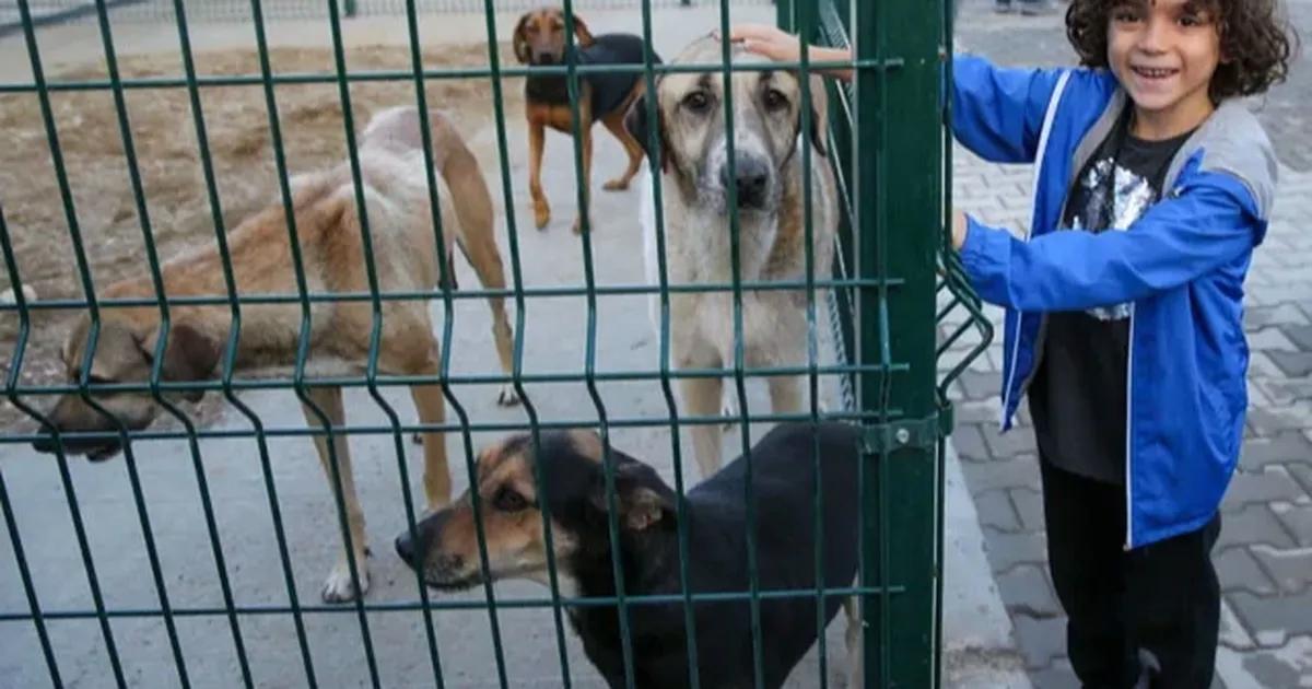 Karşıyaka Latife Hanım’da 98 Bin Metrekarelik Doğal Yaşam Alanı İçin Büyük İş Birliği