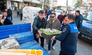 Kentin Kalbi: Karşıyaka’da Kamu Alanları Güven ve Erişilebilirlik İçin Yeniden Düzenleniyor