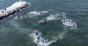 Körfezde Deniz Marulu Alarmı: İzmir’in Yenilenen Amfibi Takvimiyle Temizliğe Hızlı Müdahale