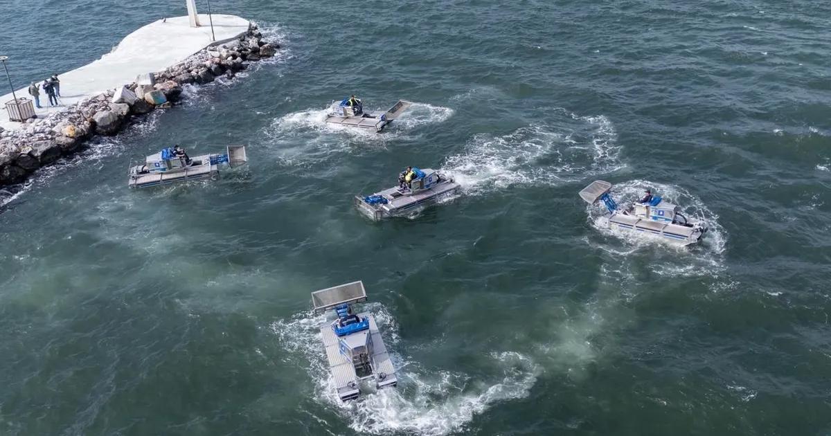 Körfezde Deniz Marulu Alarmı: İzmir’in Yenilenen Amfibi Takvimiyle Temizliğe Hızlı Müdahale