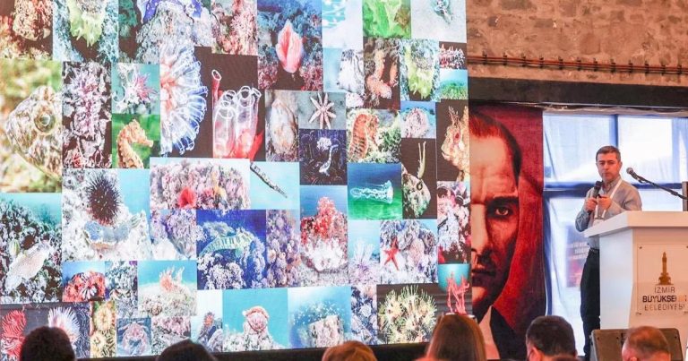 Körfezin Nabzını Tutan Bilim İnsanları: İzmir Körfezi’nde Isı, Kirleticiler ve Umut Veren Çözümler