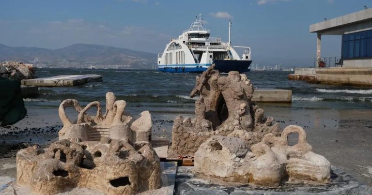 Körfezin Yeni Nabzı: Atık Kabuklardan Yapay Resiflerle Deniz Yaşamını Yeniden Doğuruyoruz