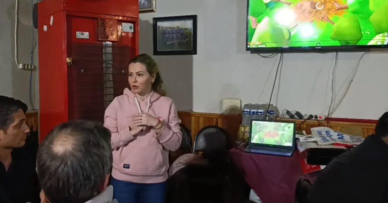 Köylerden Yükselen Ses: Civarda Altın Madenciliğine Karşı Şeffaflık Talebi ve Çevre Endişeleri