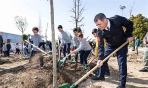 Kültürpark’ta 190 Ağaçlık Dönüşüm: 190 Akciğer İçin Yeni Nefesler ve Yeşilin Yükselişi
