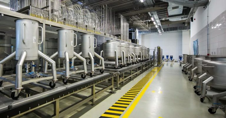 MG International Fragrance Company: İhracat Odaklı Büyüyen Bir Başarı Hikayesi ve 2025 Heyecan Verici Sonuçları