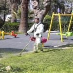 Park ve Sokaklarda Baharın Gücü: Konak Belediyesi’nin Ağaç Budama ve Yabani Ot Temizliğiyle Yenilenen Şehir Manzarası