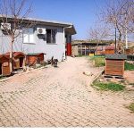 Sokak Dostlarımız İçin Büyük Adım: Mama Kompost Makinesiyle Başlayan Sürdürülebilir Dayanışma ve Atığın Sonu