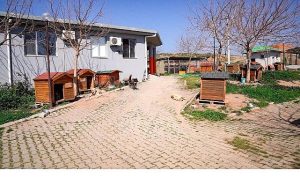 Sokak Dostlarımız İçin Büyük Adım: Mama Kompost Makinesiyle Başlayan Sürdürülebilir Dayanışma ve Atığın Sonu