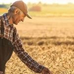 Tarımda Ücretler Şoku: 2025 İş Gücü Maliyetleri Gözler Önüne Seriliyor – Mevsimlikten Sürekliye Kadar Finansal Dinamikler Derinlemesine İnceleniyor