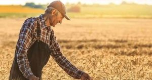 Tarımda Ücretler Şoku: 2025 İş Gücü Maliyetleri Gözler Önüne Seriliyor – Mevsimlikten Sürekliye Kadar Finansal Dinamikler Derinlemesine İnceleniyor