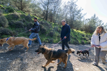 Tek Sağlık, Tek Ağızdan İzmir: Hayvan Refahı İçin Büyükşehir’in Yenilikçi Adımları