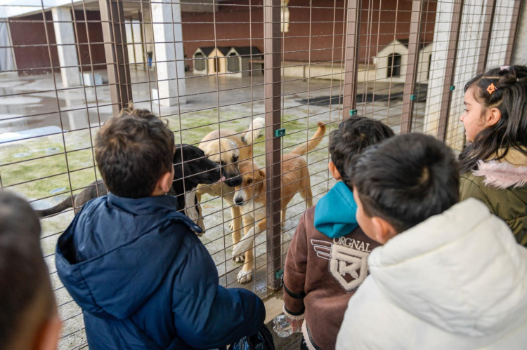 Tek Sağlık, Tek Ağızdan İzmir: Hayvan Refahı İçin Büyükşehir’in Yenilikçi Adımları