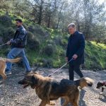 Tek Sağlık, Tek Ağızdan İzmir: Hayvan Refahı İçin Büyükşehir’in Yenilikçi Adımları